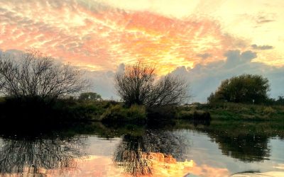 Goldener Herbstabschluss auf der Aller – Start in die Wintersaison