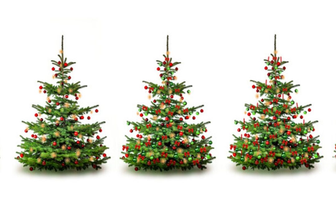 Anmeldungen für die Weihnachtsfeier, 13.12.25, ab 18.30 Uhr, im Bootshaus