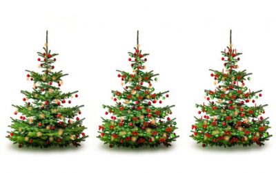 Anmeldungen für die Weihnachtsfeier, 13.12.25, ab 18.30 Uhr, im Bootshaus